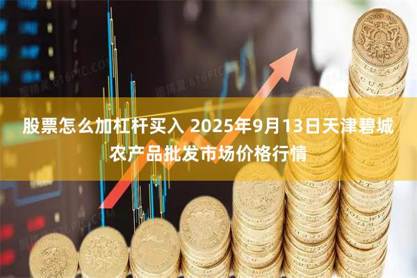 股票怎么加杠杆买入 2025年9月13日天津碧城农产品批发市场价格行情