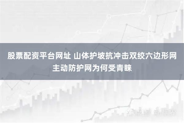 股票配资平台网址 山体护坡抗冲击双绞六边形网主动防护网为何受青睐